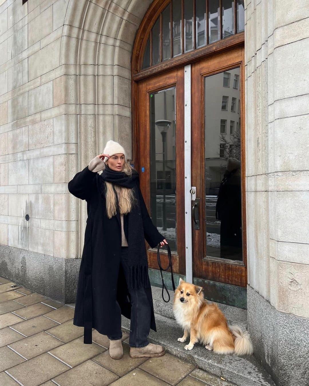 댕댕이 산책도 멋지게 입고🐕🐾 이미지