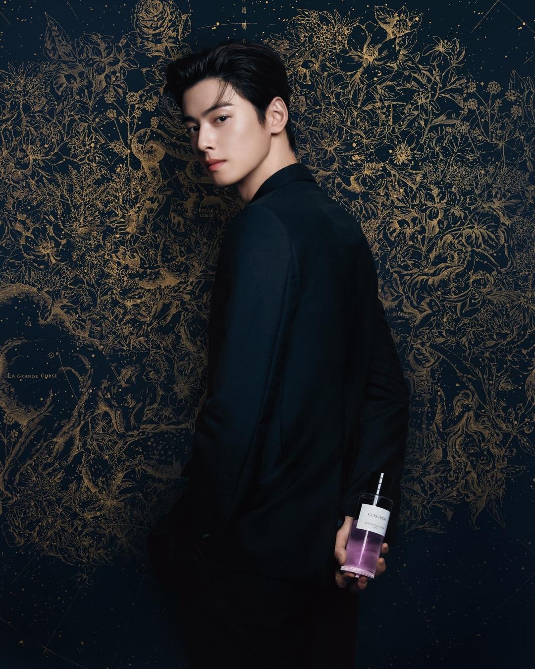 #광고 홀리데이 무드 가득한 차은우​
황홀한 홀리데이를 위한 디올 뷰티의 기프팅 셀렉션🎁✨ 이미지1