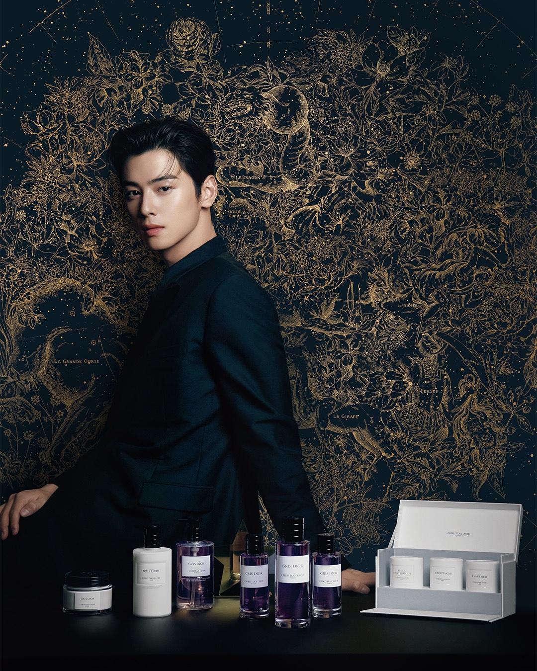 #광고 홀리데이 무드 가득한 차은우​
황홀한 홀리데이를 위한 디올 뷰티의 기프팅 셀렉션🎁✨ 이미지2