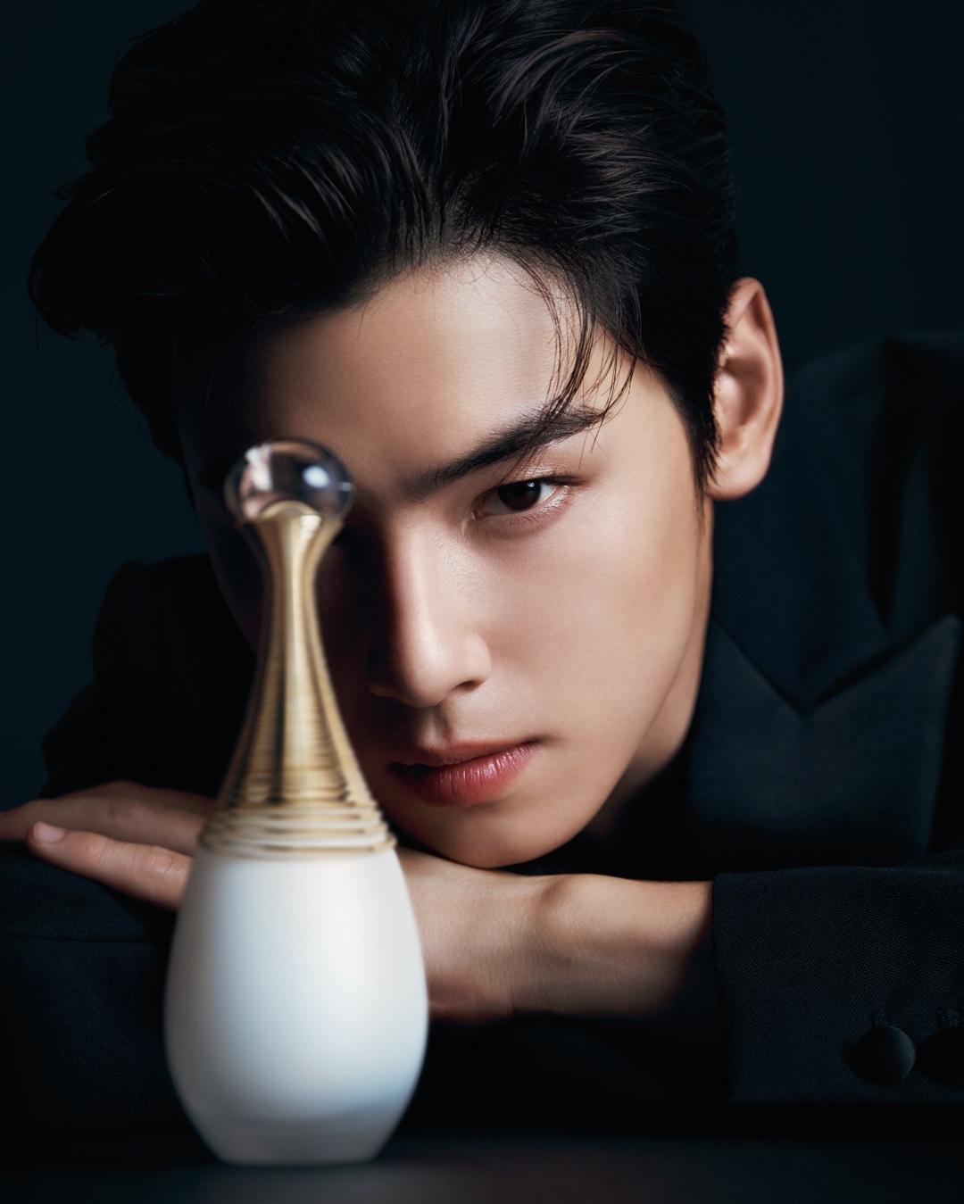 #광고 홀리데이 무드 가득한 차은우​
황홀한 홀리데이를 위한 디올 뷰티의 기프팅 셀렉션🎁✨ 이미지3