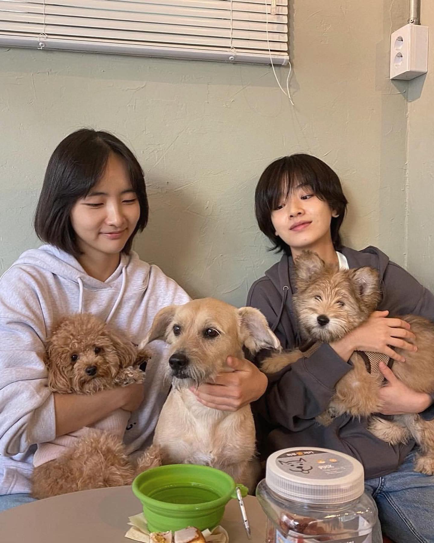 강아지와 나들이룩 @요렇게🦮🌳 이미지3