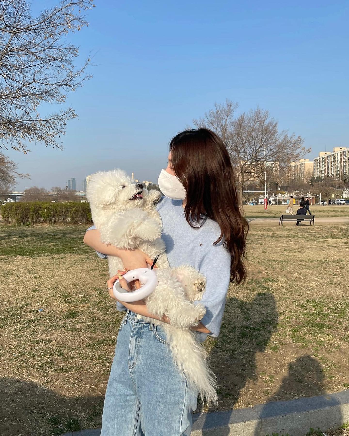강아지와 나들이룩 @요렇게🦮🌳 이미지7