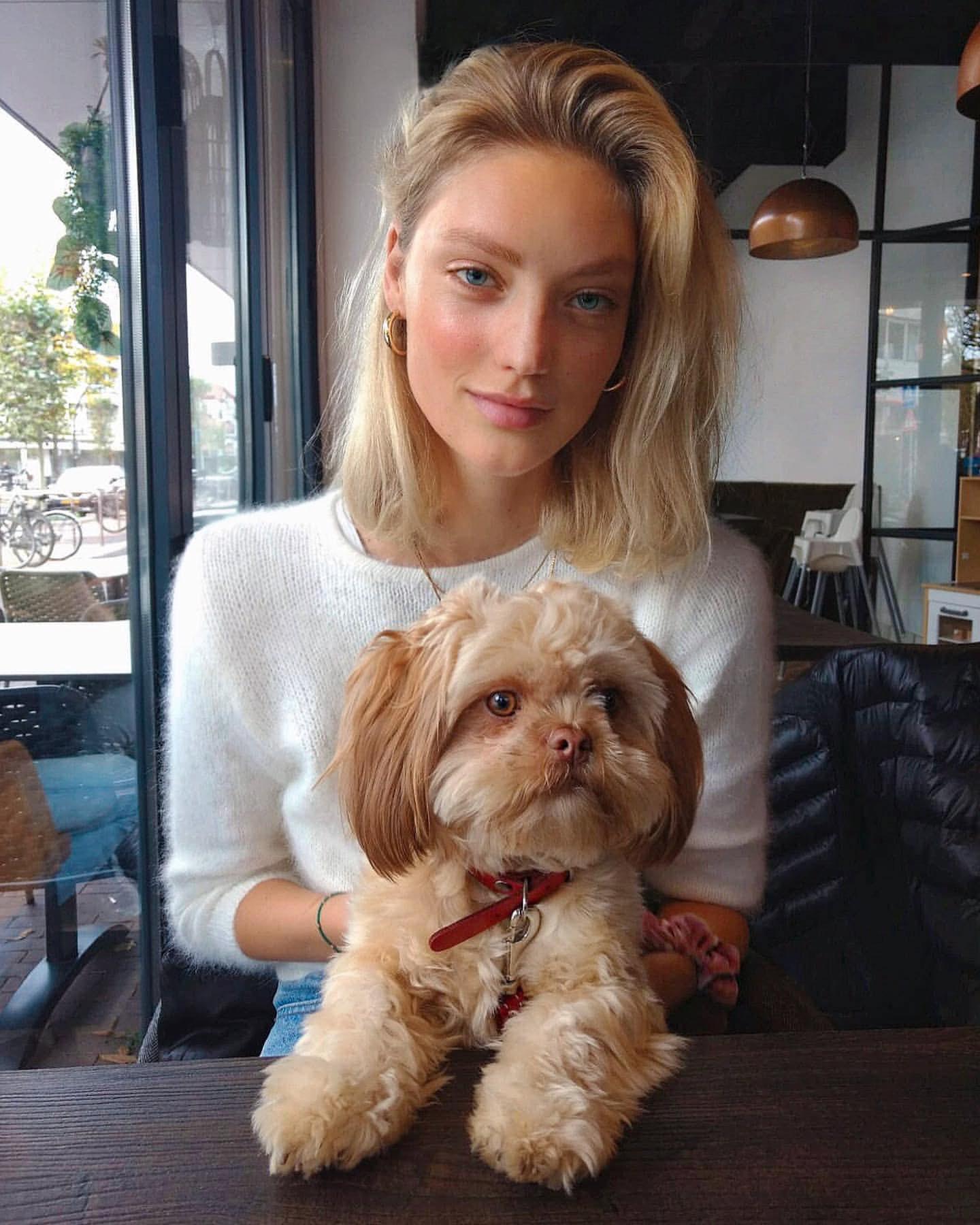 댕댕이 산책룩은 @요렇게🐕🦺 이미지6