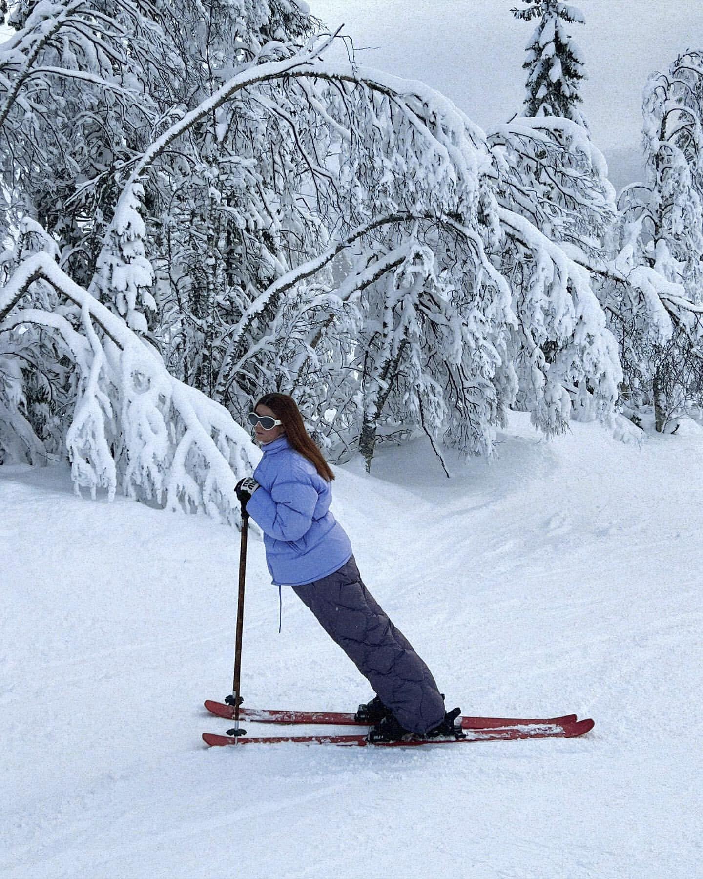 스키의 계절이야⛷️@타러가자🤍 이미지