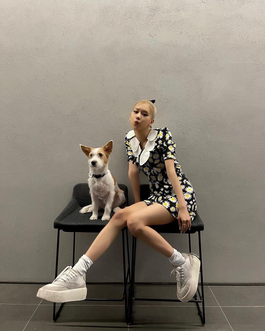 반려견과 함께 찰칵✌️😘🐶​ 이미지