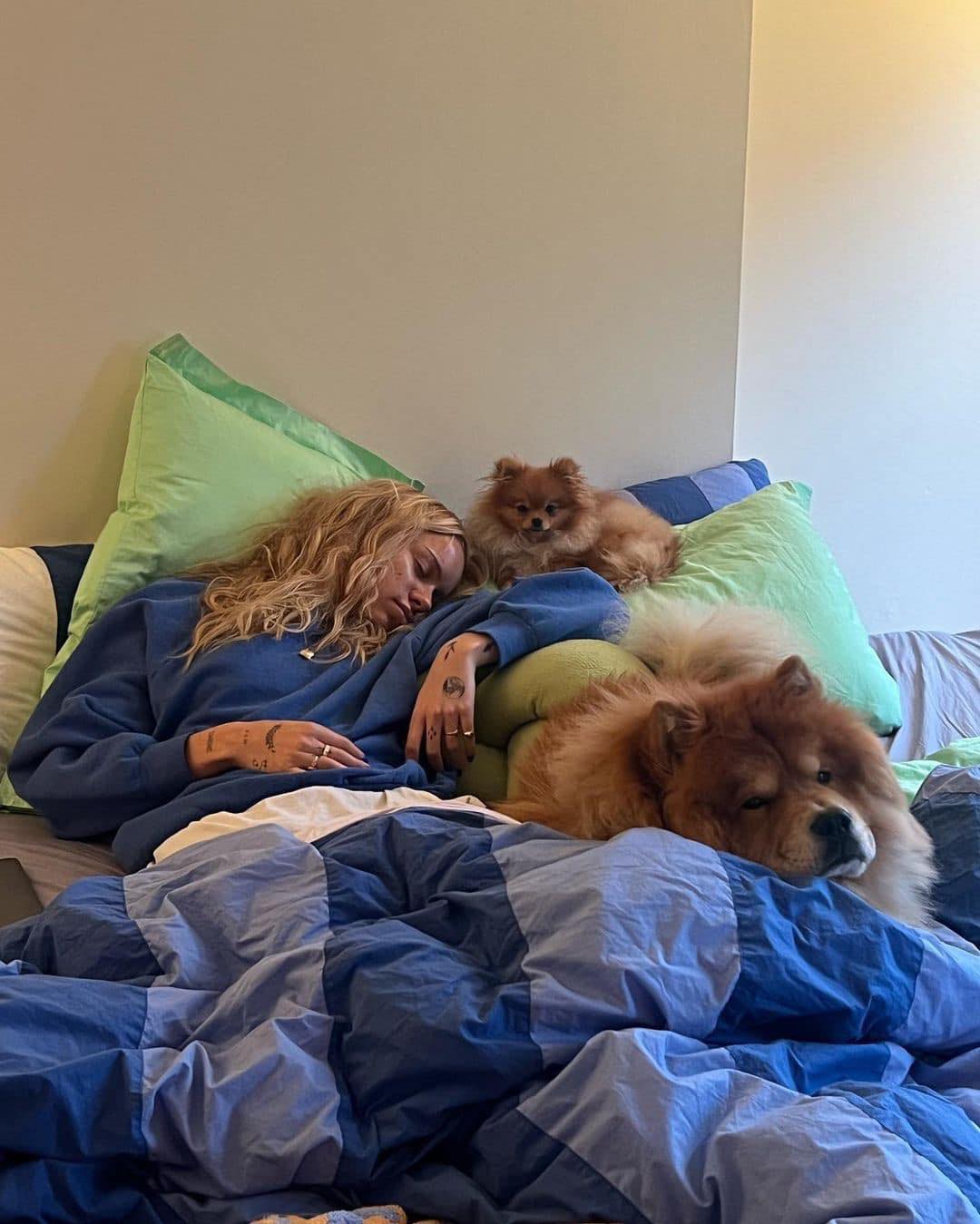 침구에도 봄은 와야지🛌🌷 이미지