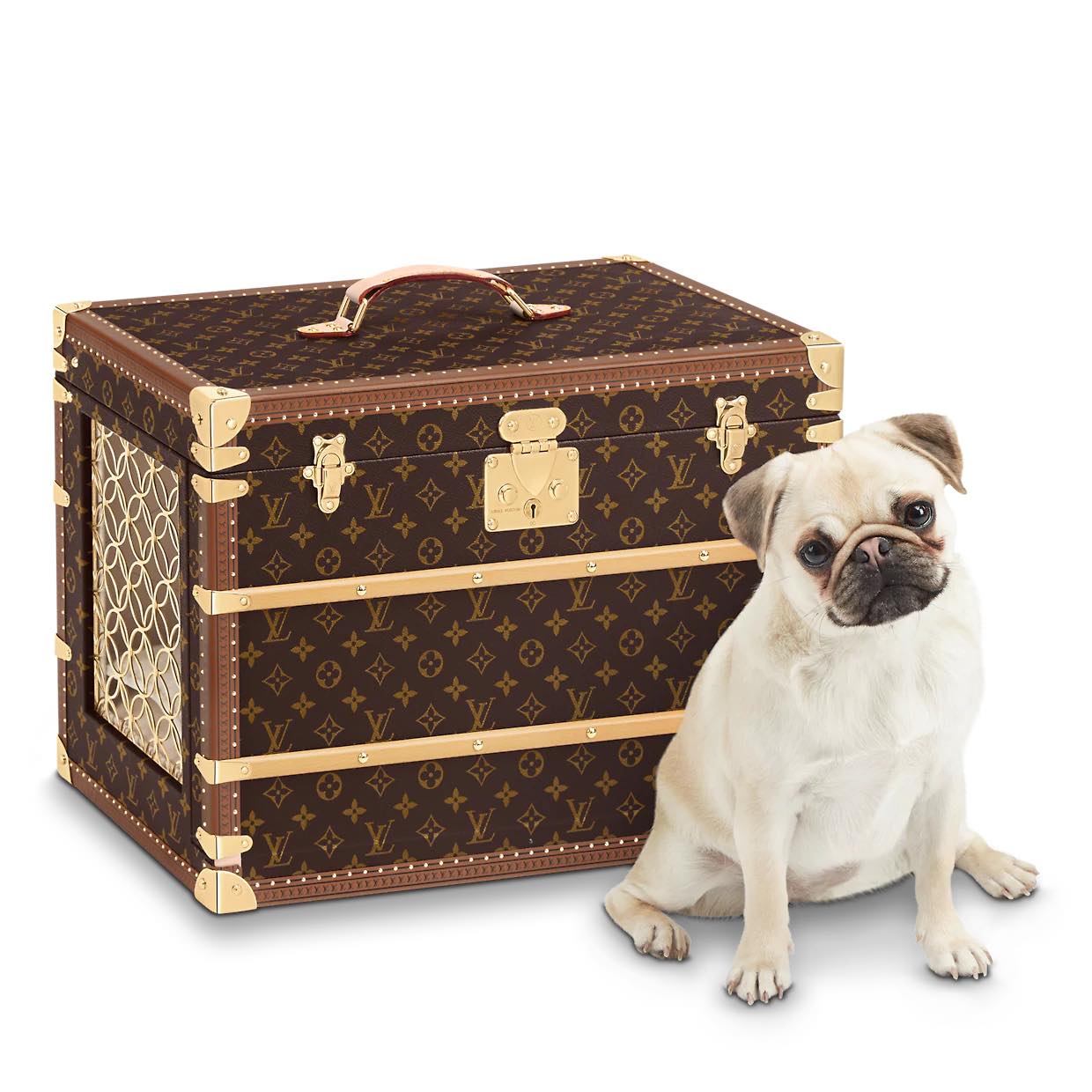 4600만원 LV 도그트렁크🐶🧳 이미지
