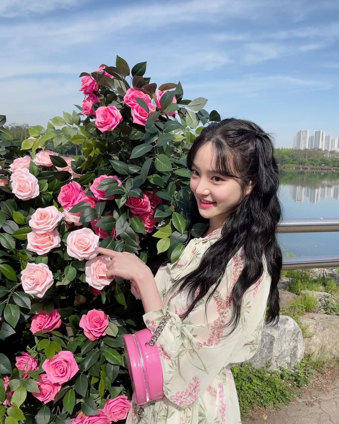 곧 보게 될 장미🌹이렇게 찍자📸​ 이미지