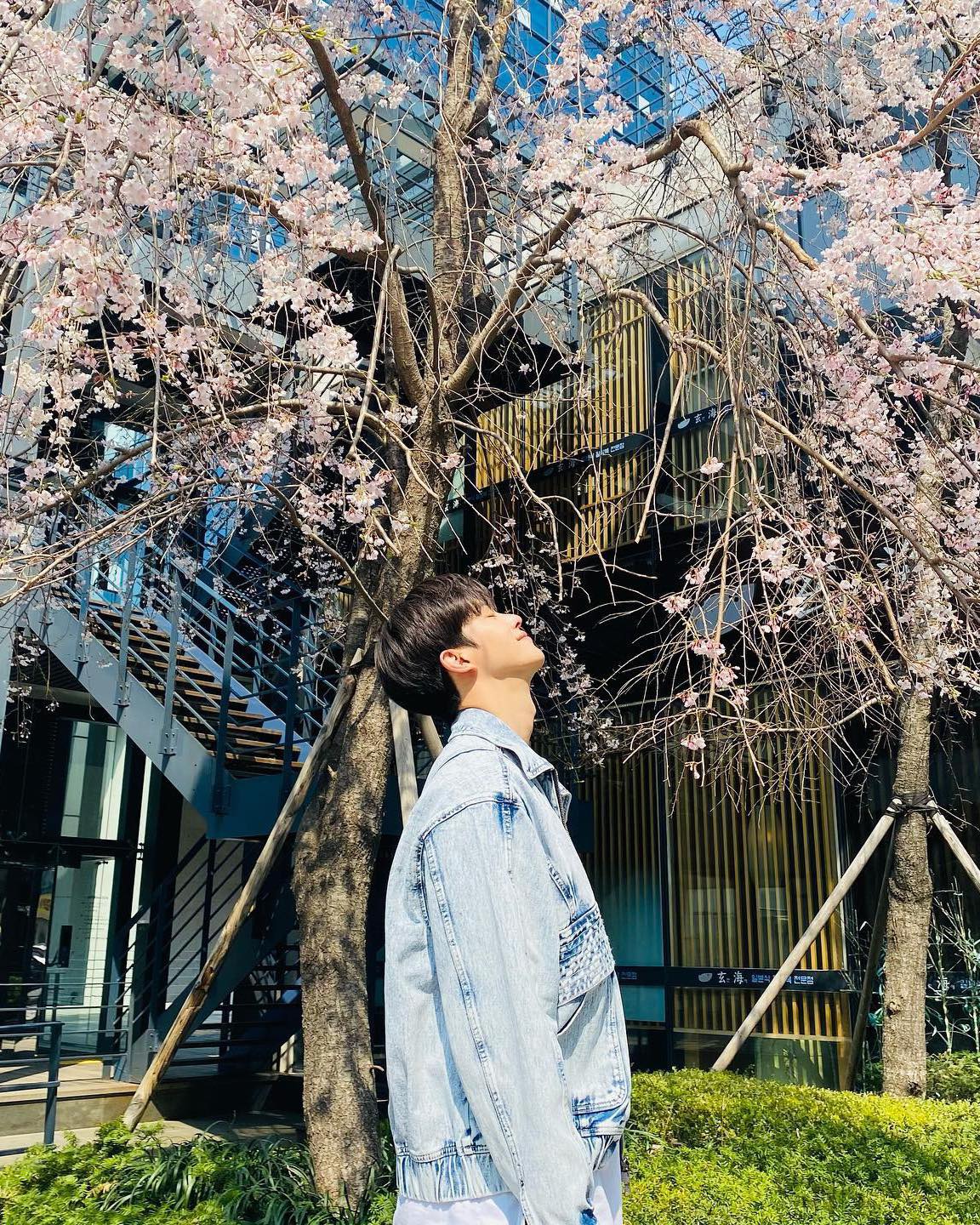 꽃놀이 갈 때🌸@남친 이렇게👩🏻❤️👨🏻 이미지9