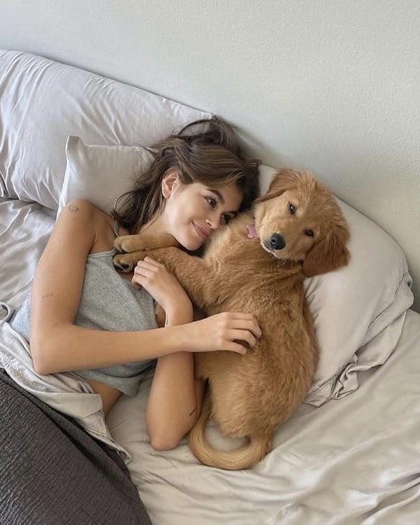 내 퇴근만을 기다리는 동반자🐶😻​ 이미지