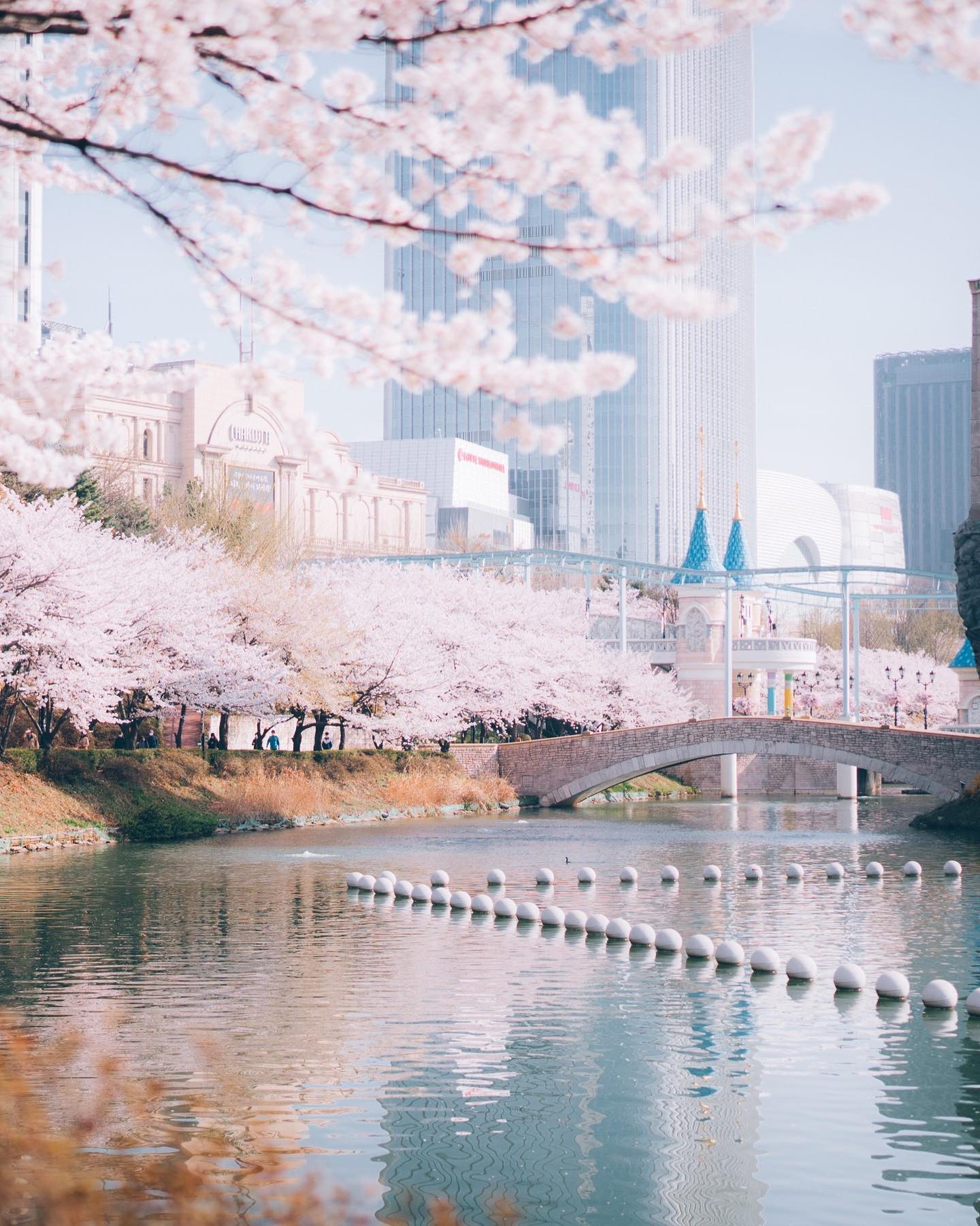 석촌호수 벚꽃 보러 @같이가자🌸
올해부터 노마스크🫶🏻 인생샷 남기러 가요 🗓️4/5(수)~4/9(일) 이미지