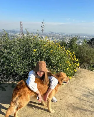 주말엔 멍뭉이와 행복한 외출🦮🌼 이미지