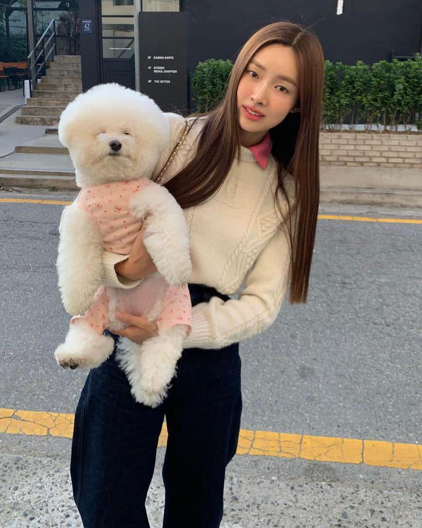 봄 니트는 화사하게🧡 이미지