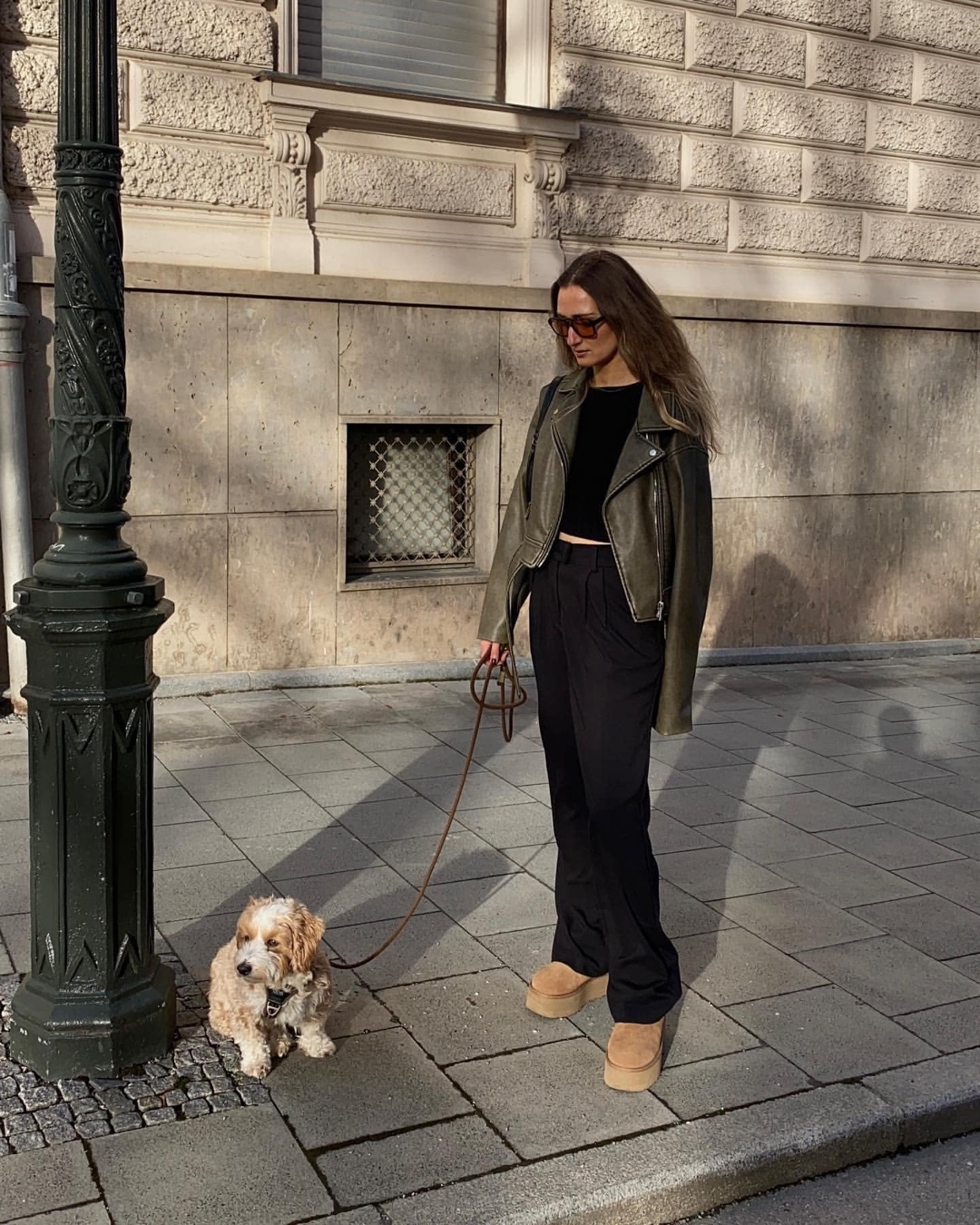 멋지게 입고 댕댕이 산책가자🐶✨ 이미지