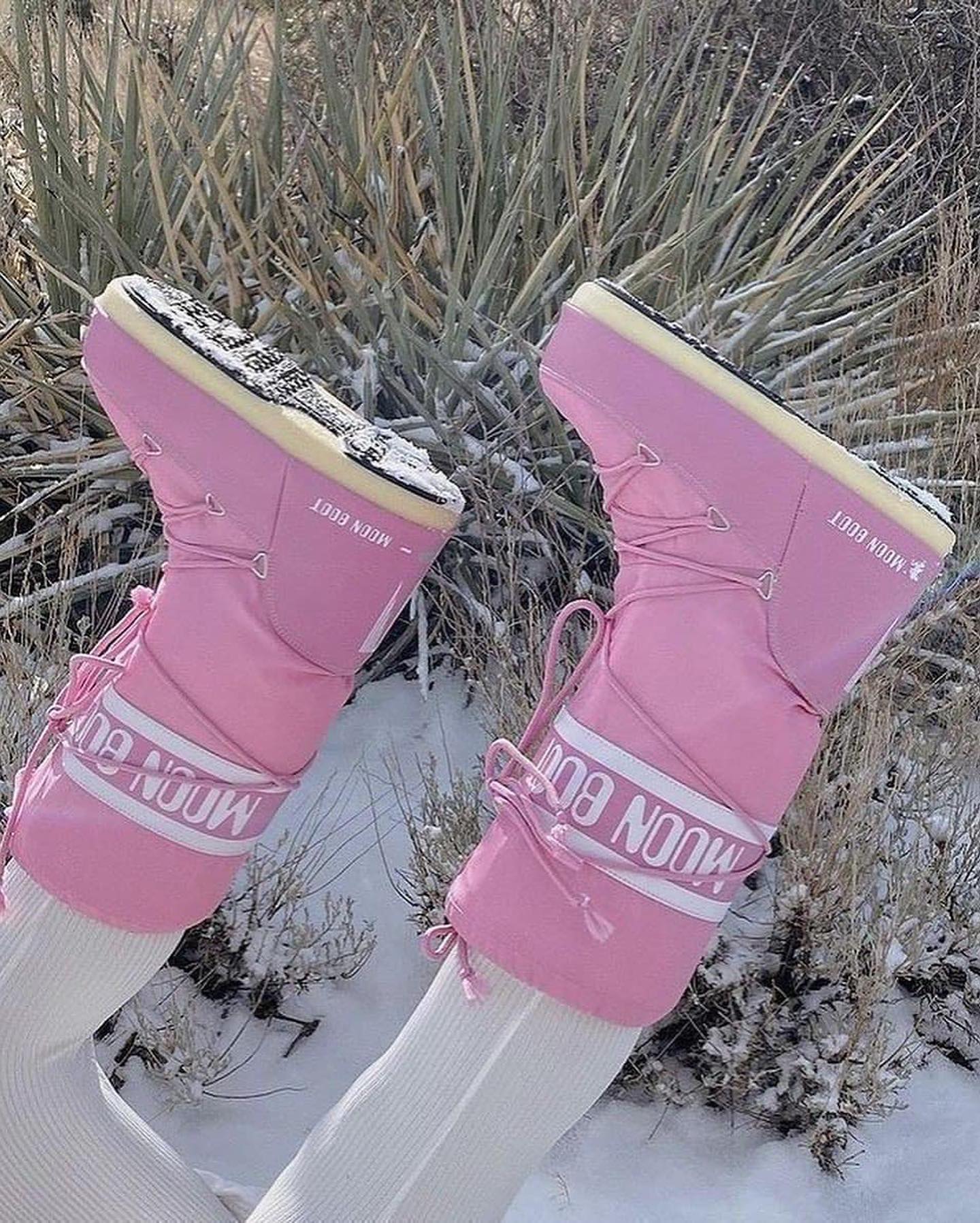 문부츠로 @겨울 준비☃️🎿 이미지7