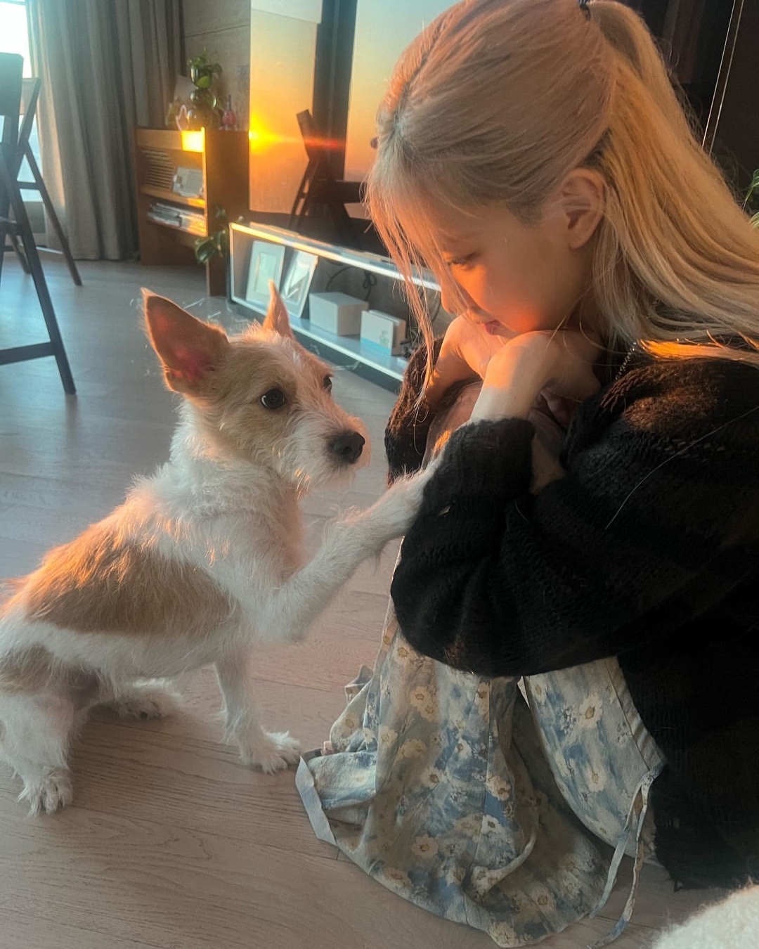 내년도 함께할 내 단짝🐶🐱 이미지