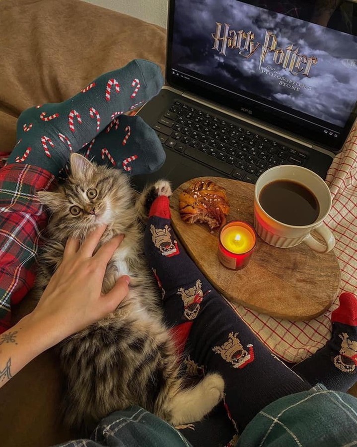 크리스마스 분위기🎄벌써 설레⭐️ 이미지