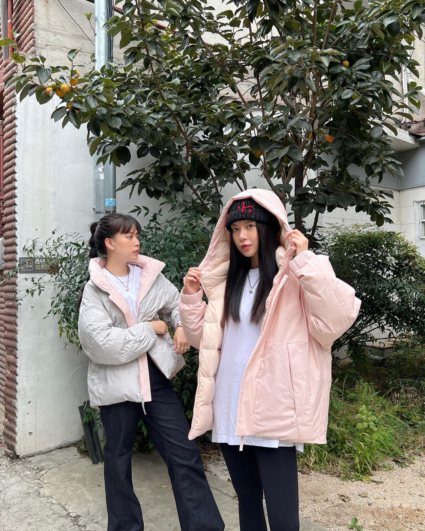 핑크 그레이 됴합👭좋아하는 사람 이미지