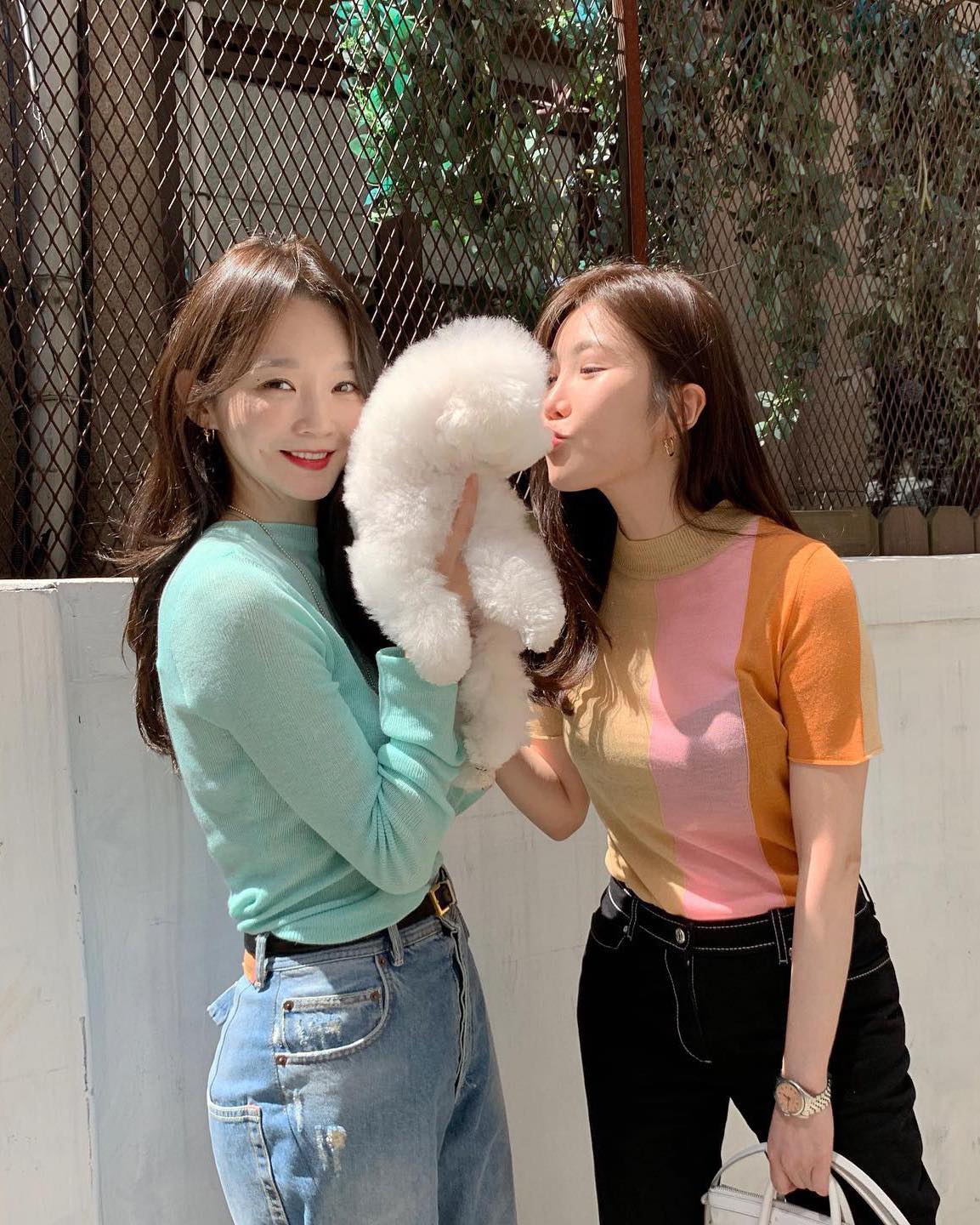 댕댕이랑 주말 피크닉🧺찰칵📸 이미지