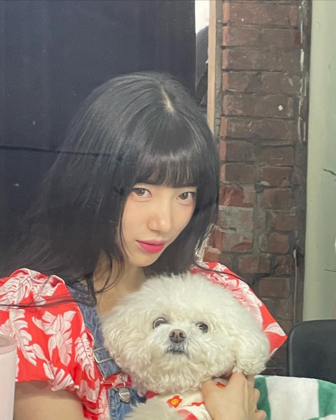 댕댕이랑 주말 피크닉🧺찰칵📸 이미지
