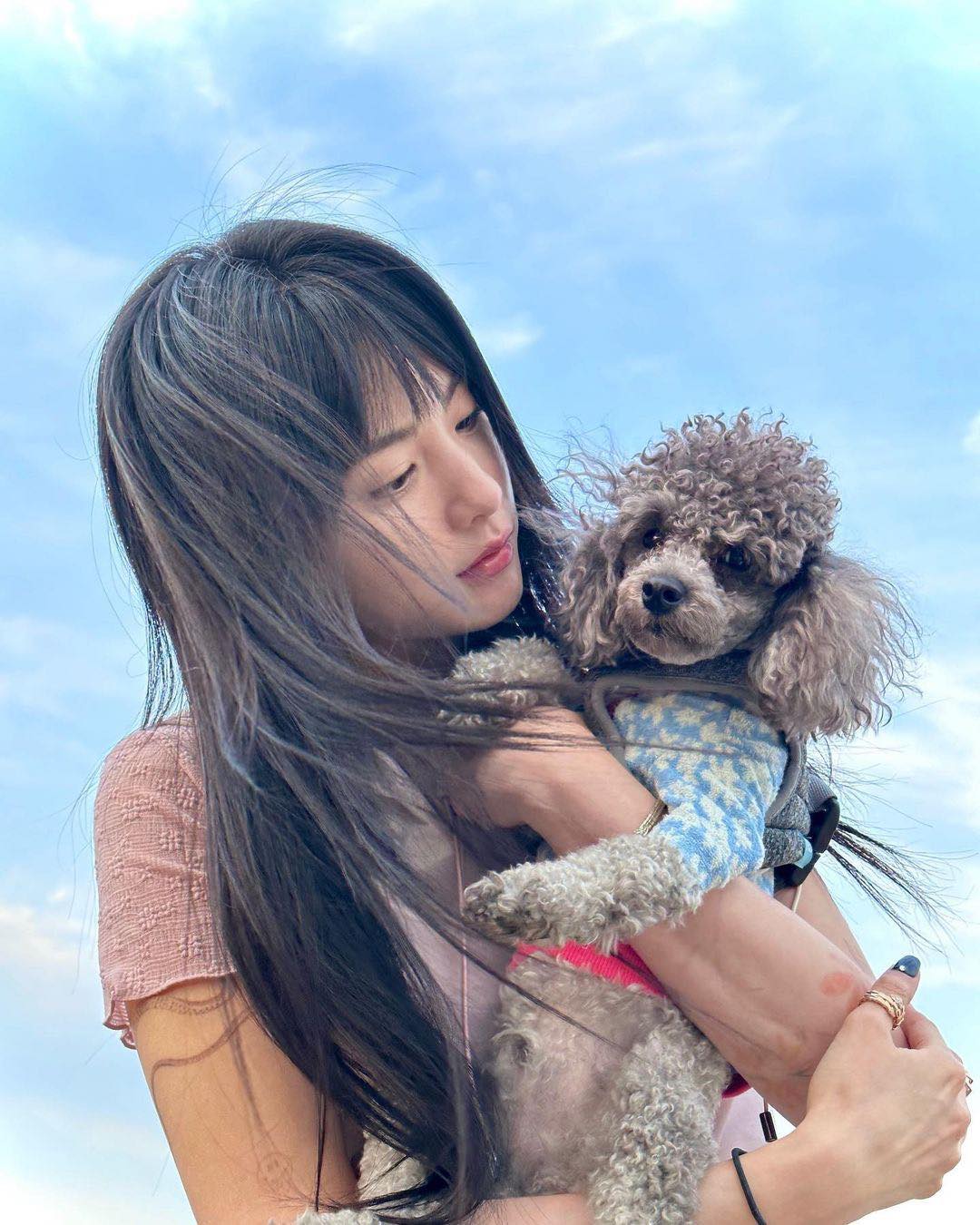 댕댕이랑 주말 피크닉🧺찰칵📸 이미지