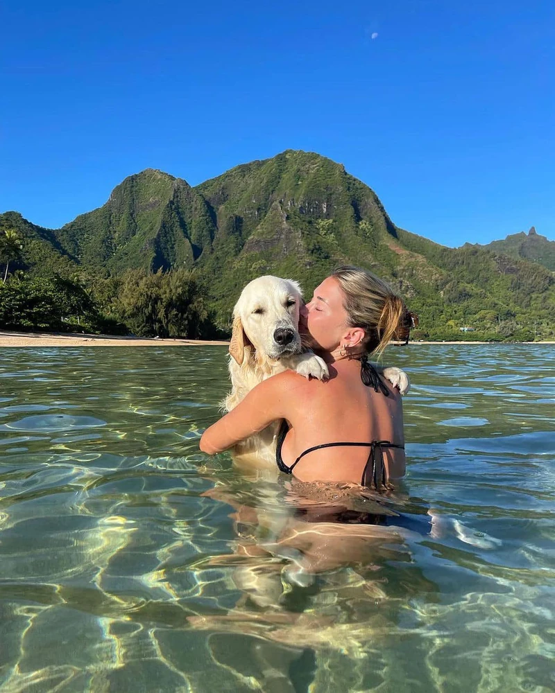 반려견과 함께하는 여름🐶🌞 이미지2
