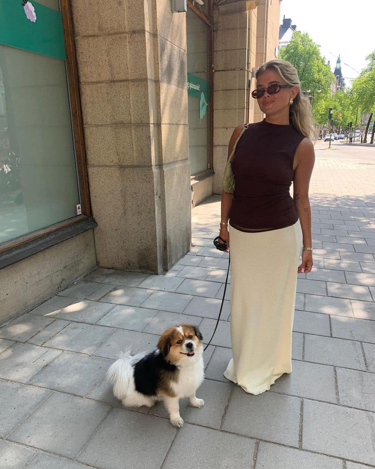 반려견과 함께하는 여름🐶🌞 이미지
