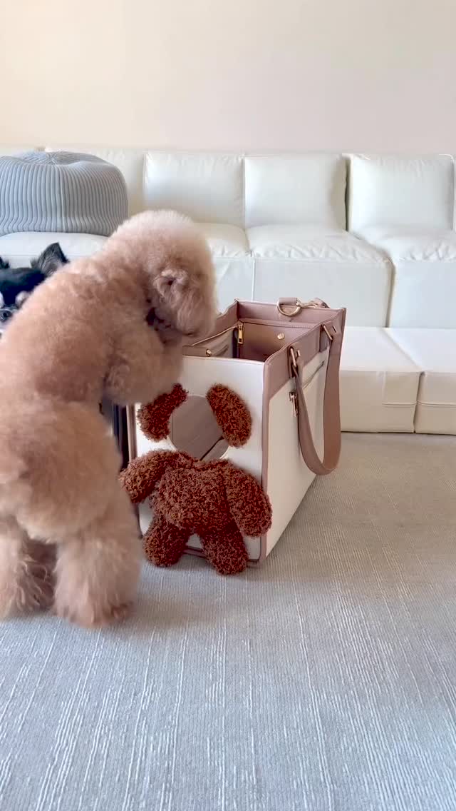 귀여움 한도 초과🐶😍댕댕이 가방 이미지