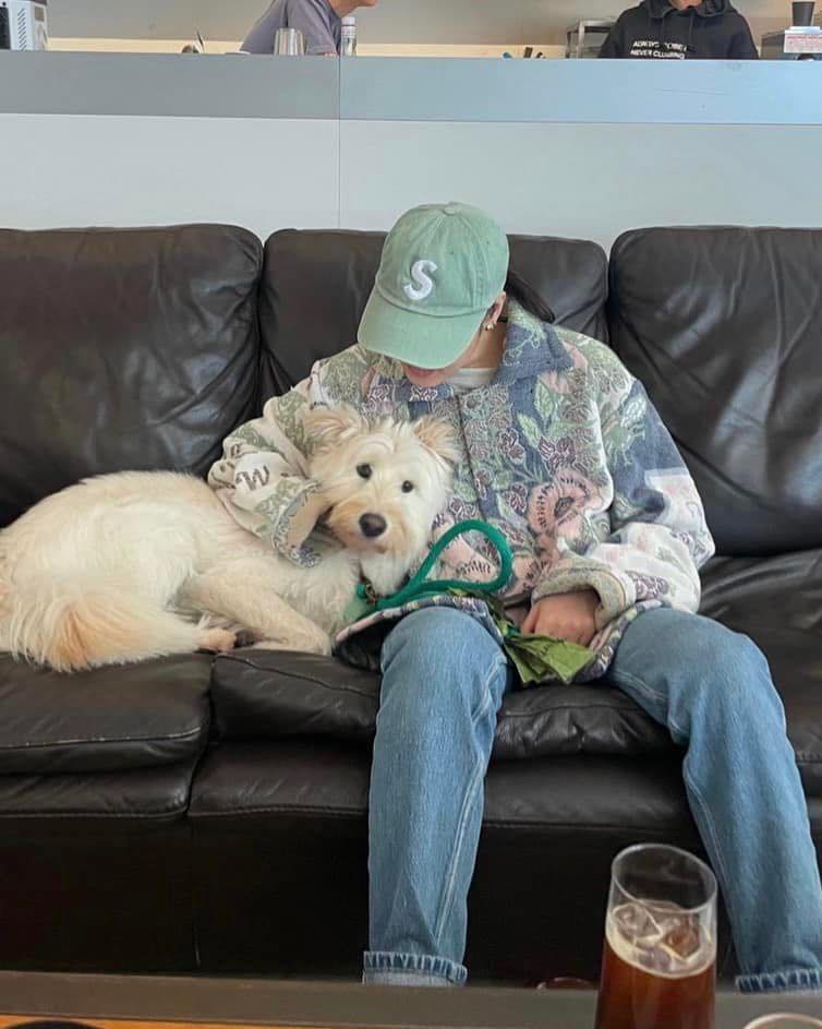 힙한 꾸안꾸 슈프림 S로고 캡🧢💲 이미지