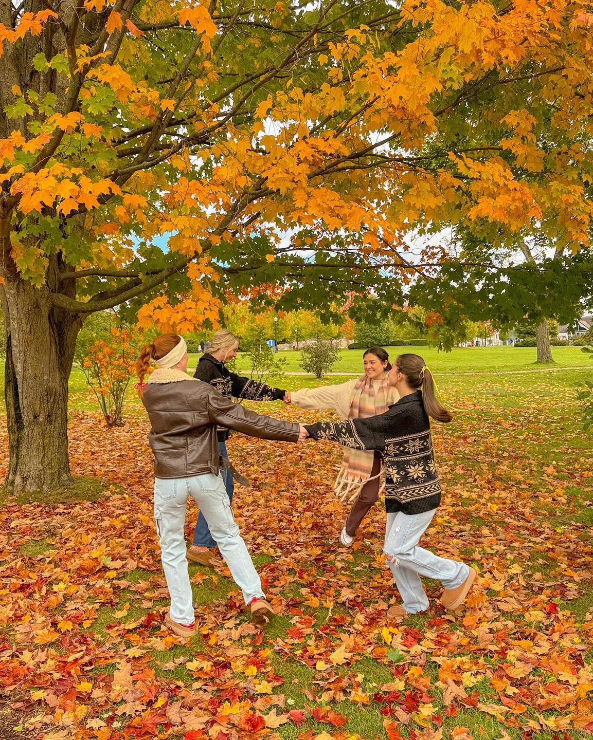 단풍 피크닉🍁가기 전@참고🧡 이미지