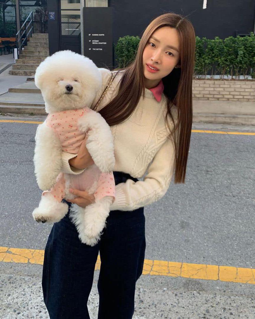 연관 토픽 이미지