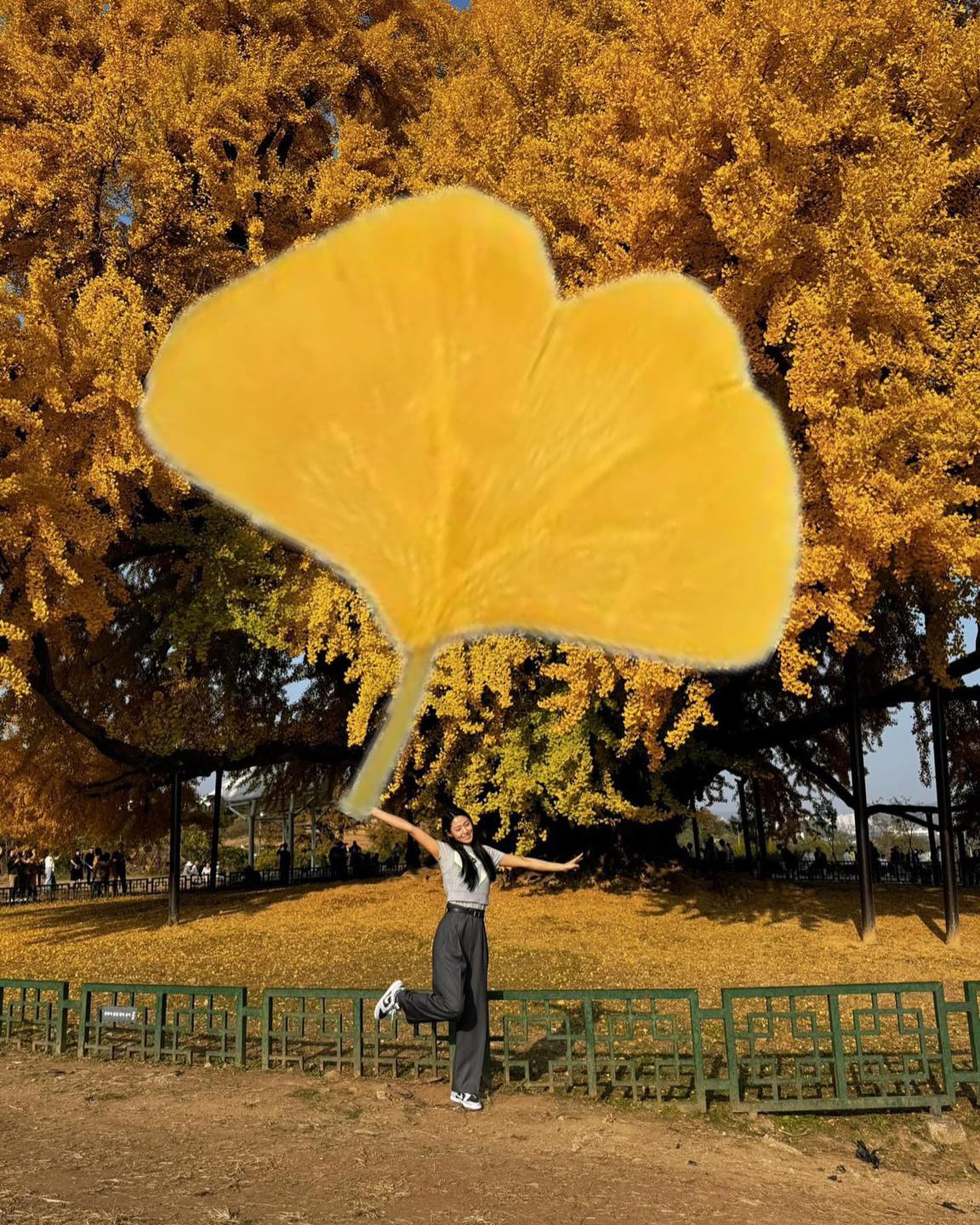 요즘 유행하는 단풍샷 따라해🍁
이제 단풍놀이 찐막차🚂셀럽들처럼 단풍 들고 @같이 찍자📸 이미지