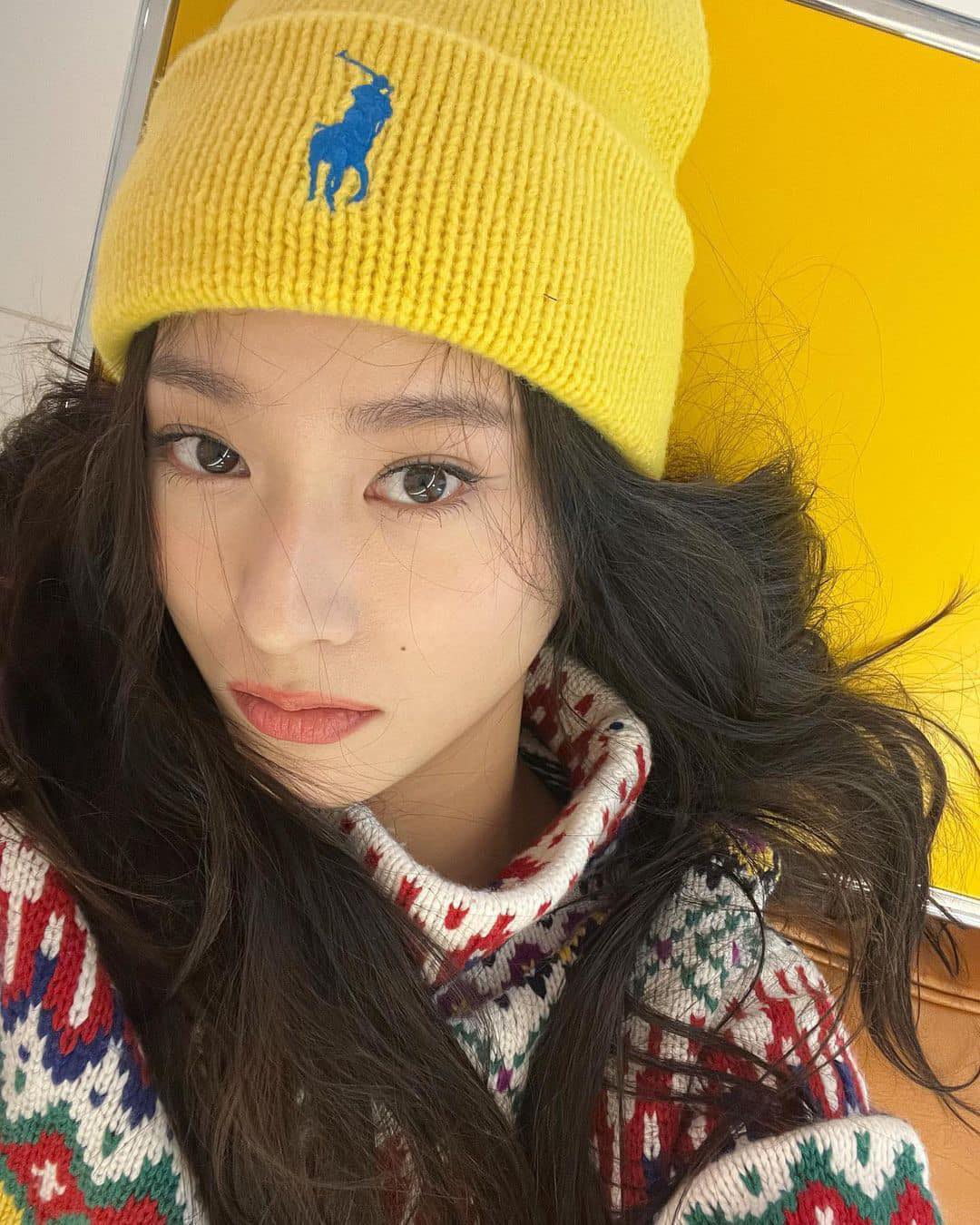 따숩고 귀여운 폴로 비니🐻🐎 이미지