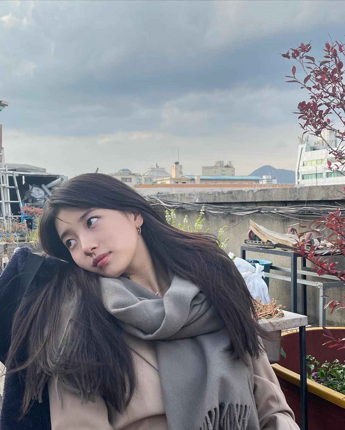 연관 토픽 이미지