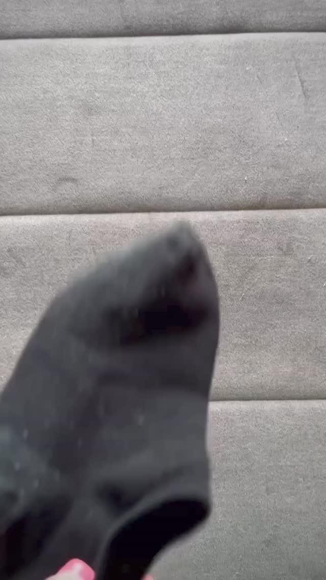 우리집 댕댕이 복면 만들기 도전🐶🤎 이미지