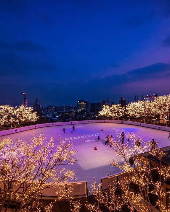 서울 겨울 액티비티 장소 추천☃️
누워있지만 말고 겨울 끝나기 전에 낭만 즐기러 가보자🩵

1 + 2. 그랜드하얏트서울 아이스링크 
위치: 서울 용산구 소월로 322
기간: 2023. 12. 01 ~ 2024. 02. 29

3 + 4. 롯데월드 아이스링크
위치: 서울 송파구 올림픽로 240
기간: 상시 운영

5 + 6. 반얀트리 클럽 앤 스파 서울 오아시스 아이스링크
위치: 서울 중구 장충단로 60
기간: 2023. 12. 02 ~ 2024. 02. 18

7 + 8. 뚝섬한강공원 눈썰매장
위치: 서울 광진구 자양동 112
기간: 2023. 12. 22 ~ 2024. 02. 12

9 + 10. 서울광장스케이트장
위치: 서울 중구 을지로 12
기간: 2023. 12. 22 ~ 2024. 02. 11 이미지
