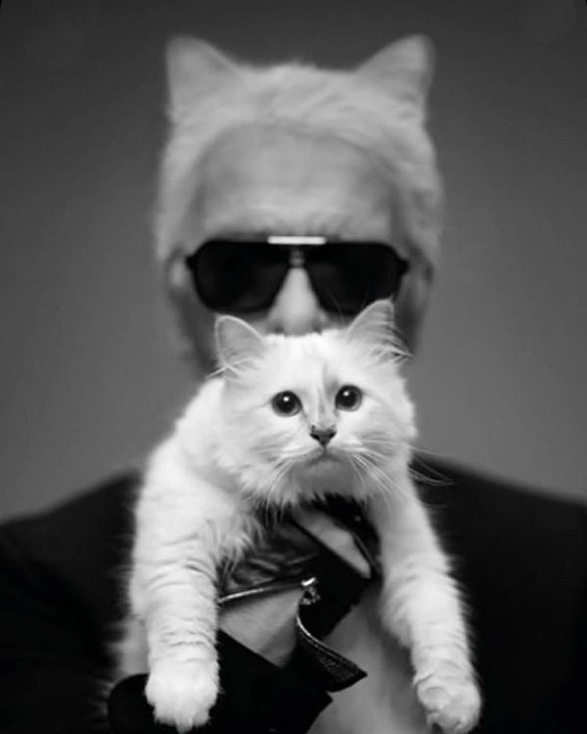 칼 라거펠트의 고양이 슈페트🐈🤍

샤넬의 수석 디자이너였던 칼 라거펠트는 고양이 집사로도 유명했습니다. 할 수만 있다면 슈페트와 결혼하고 싶다고까지 말하며 엄청난 애정을 보여주었던 그는 슈페트를 위한 전담 요리사와 보디가드, 주치의까지 두었었다고 하는데요. 동성애자였던 칼 라거펠트는 결혼하지 않아 슬하에 자녀조차 없었기에 슈페트가 유산까지 일부 물려받은 것으로 알려졌죠. 금수저 고양이 슈페트의 모습을 슬라이드로 확인해보세요📸 이미지