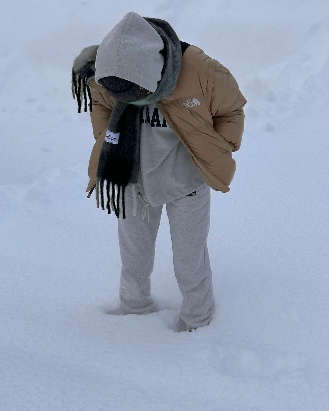 패딩에 목도리까지 필요한 날씨🥶 이미지5