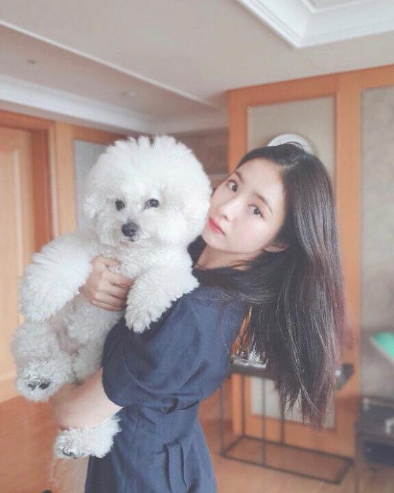 주인 잘 만난 스타 반려견🐶💗

1. 정채연의 반려견 비숑 오양치

2. 차정원의 반려견 비숑 로지

3. 신세경의 반려견 비숑 신진국

4. 조이의 반려견 말티즈 햇님이

5. 제니의 반려견 코카스파니엘 카이

6. 태연의 반려견 푸들 제로

7. 강민경의 반려견 비숑 휴지

8. 경리의 반려견 차우차우 시로

9. 김세정의 반려견 프렌치불독 된장이

10. 박주현의 반려견 포메라니안 복떵이 이미지
