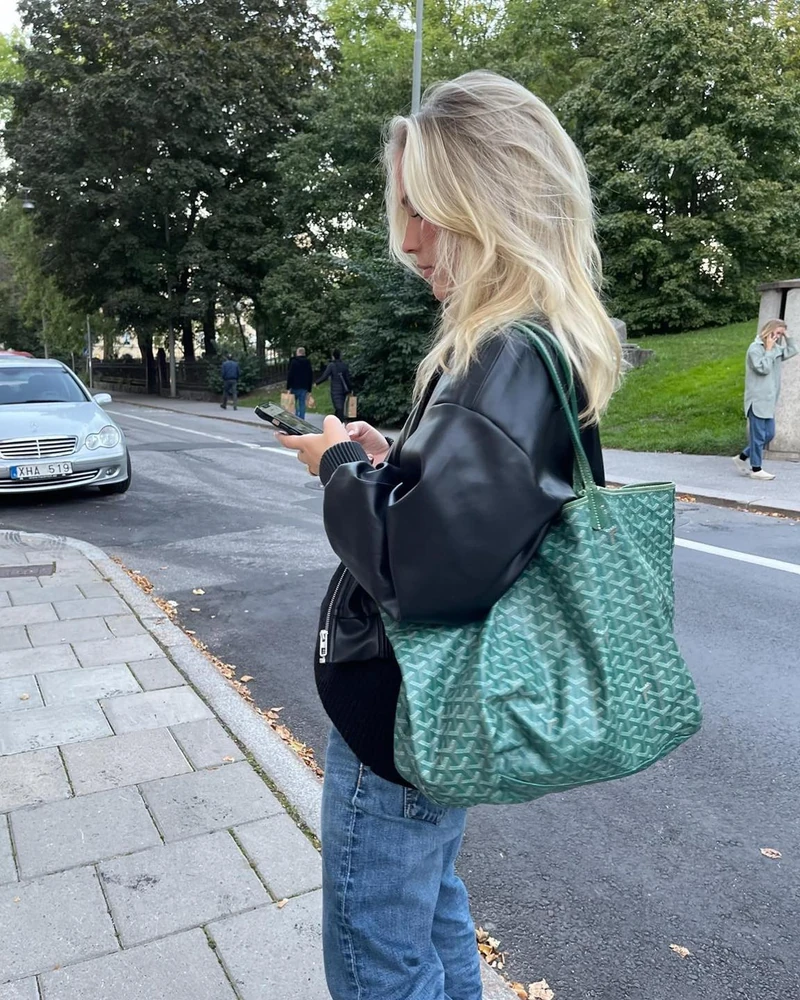 보부상을 위한 고야드 아르투아👜 이미지2