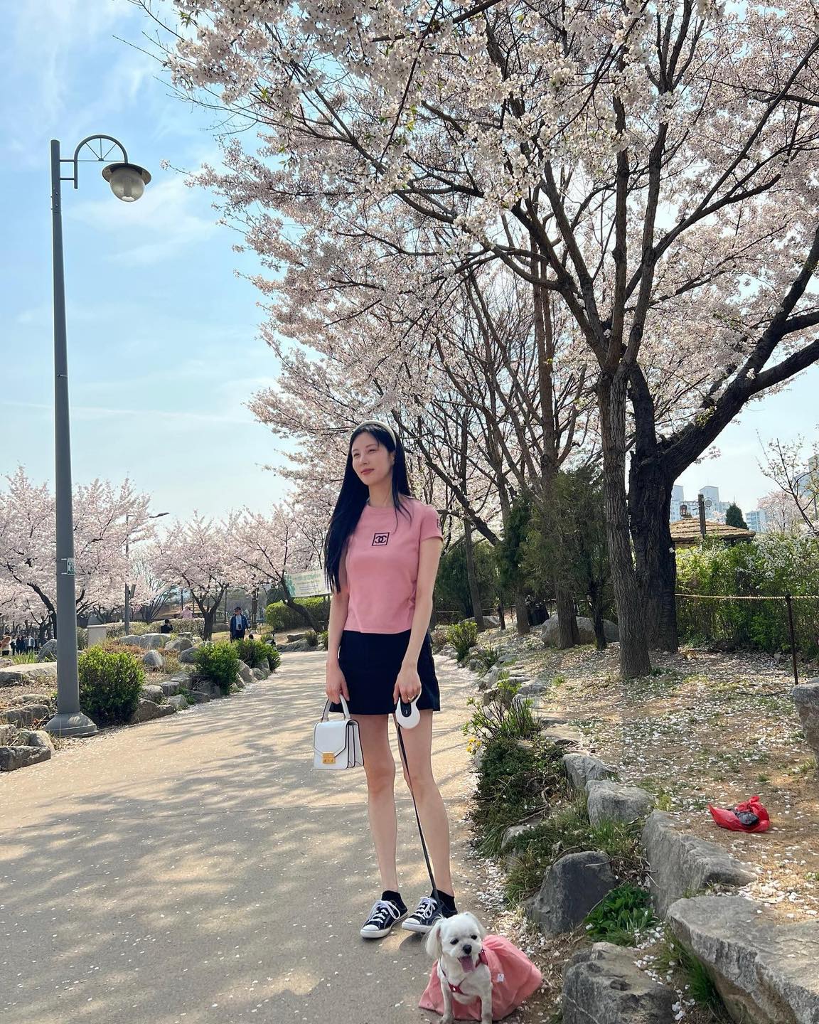 곧 벚꽃 핀대🌸🗓️ 언제 보러 갈까
셀럽들의 벚꽃 구경룩🌷 우리도 이쁘게 입고 사진@찍자📸

<전국 벚꽃 개화 시기> 
- ​3월 22일: 부산, 창원
- 3월 24일: 서귀포, 포항
- 3월 26일: 대구
- 3월 27일: 울산
- 3월 28일: 여수, 광주
- 3월 29일: 목포, 전주
- 3월 30일: 대전
- 3월 31일: 청주, 강릉
- 4월 3일: 서울
- 4월 7일: 수원, 인천, 춘천 이미지