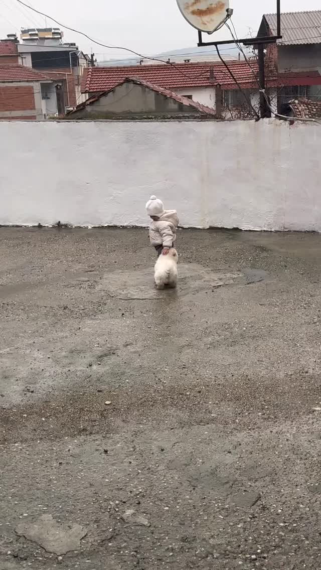벌써 내일 월요일😭 다들 힐링 하고 가세요🐶 이미지