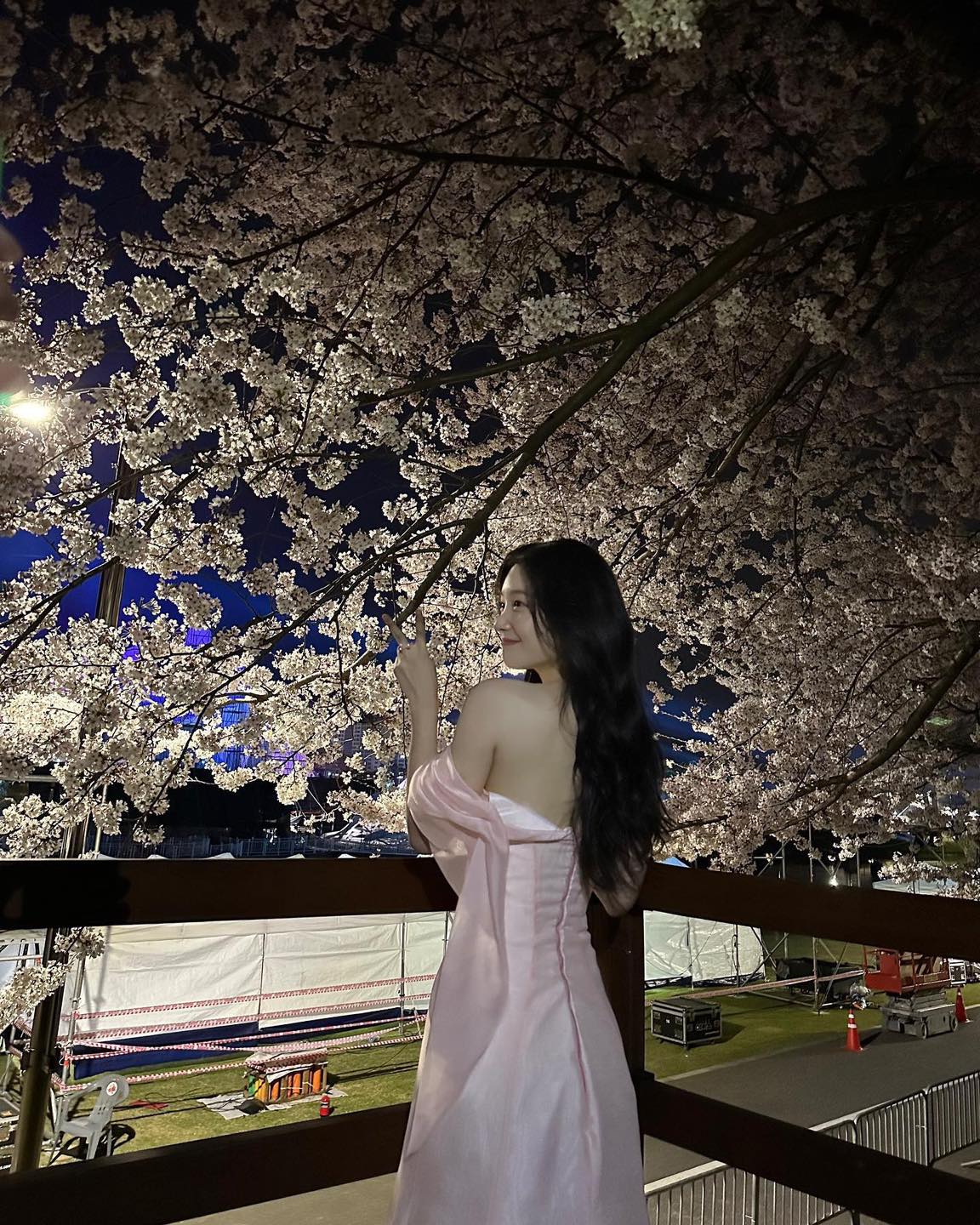 오늘부터 시작인 호수벚꽃축제🌸
올해는 밤 벚꽃 보고 사진 찍자📸 🌷 이미지
