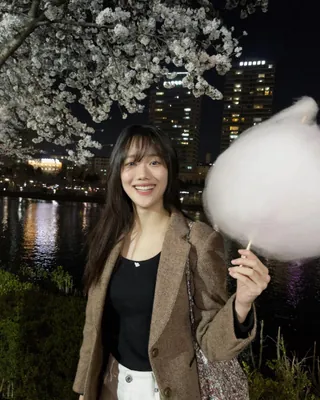 오늘부터 시작인 호수벚꽃축제🌸
올해는 밤 벚꽃 보고 사진 찍자📸 🌷 이미지