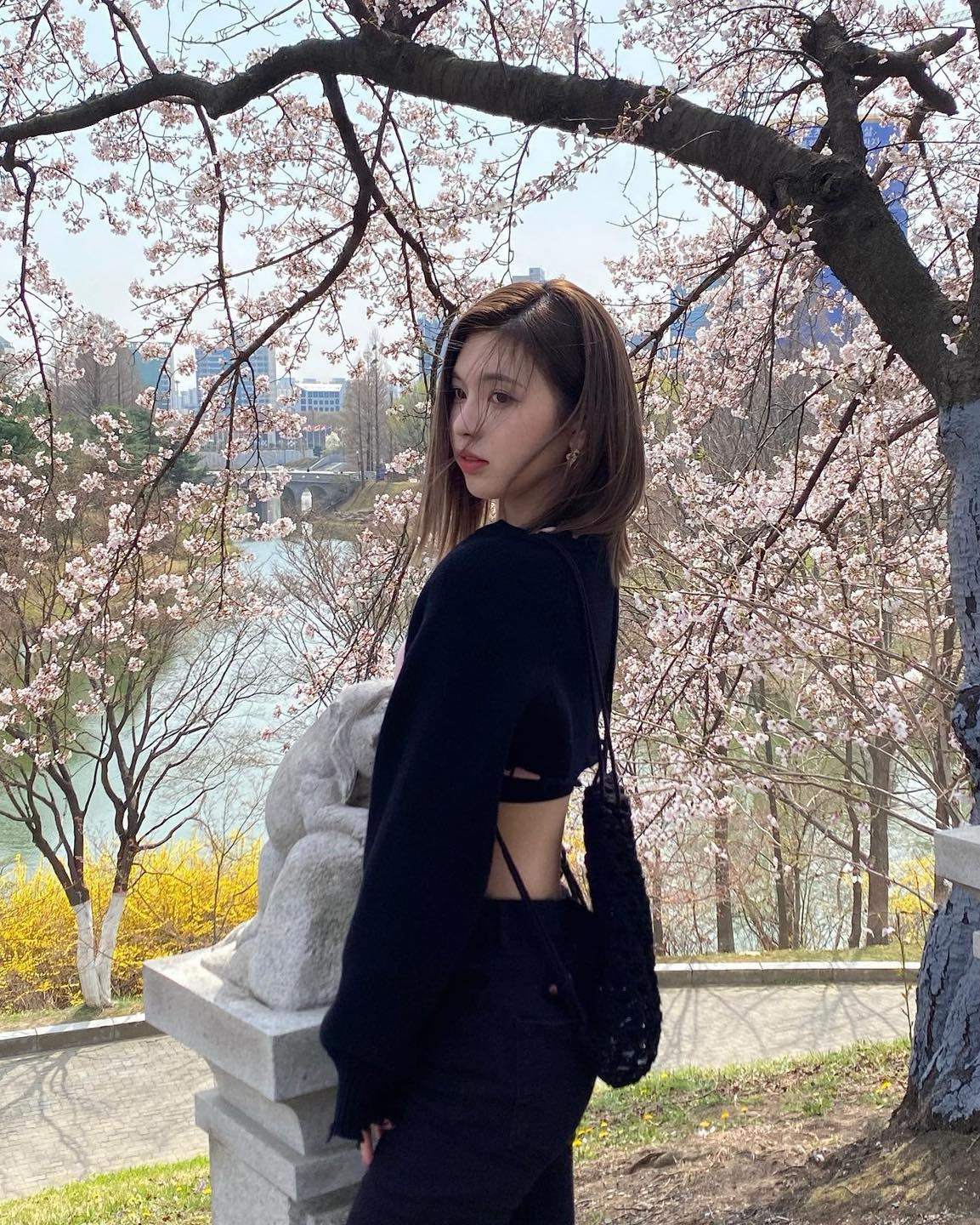 이번주가 피크🌸벚꽃 나들이 가자 이미지