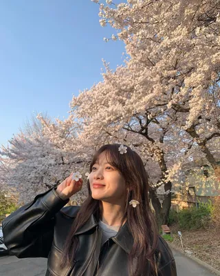 이번주가 피크🌸벚꽃 나들이 가자 이미지