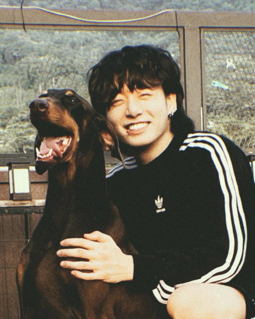반려견 '밤이' 인스타를 개설한 BTS 정국🐶🤎

현재 군 복무 중인 BTS의 정국이 반려견 '밤이'의 인스타그램 계정을 오픈했습니다. 정국은 14일 오후 "내 자랑은 지금 못하니 내 새끼 자랑해야지 / 앞으로 즐거운 '밤' 되세요" 라는 게시물을 올렸는데요. 함께 올린 영문 계정 Bowwow_bam 은 인스타그램의 신규 계정으로 정국의 반려견 '밤이'의 사진과 영상이 담겨 있어 팬들이 크게 반기고 있습니다. 이전부터 반려견에 대한 남다른 사랑을 자랑하던 정국은 작년 5,000만 명이 넘는 팔로워를 가진 계정을 삭제해 화제가 되기도 했었는데요. 1년 여 만에 반려견 계정으로 인스타그램으로 돌아온 정국, 하루 만에 3백만 팔로워를 돌파한 '밤이'의 사진을 슬라이드로 확인하세요📸 이미지