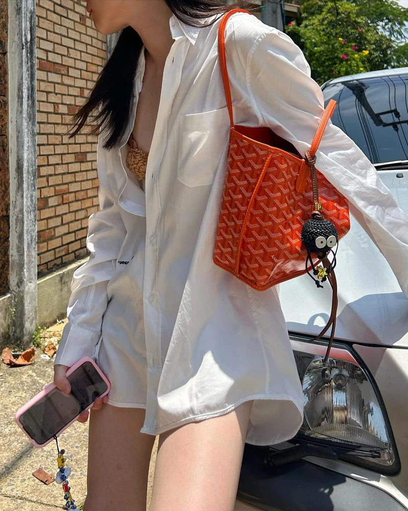 요즘 인기 많은 고야드 미니앙주🖤 이미지3