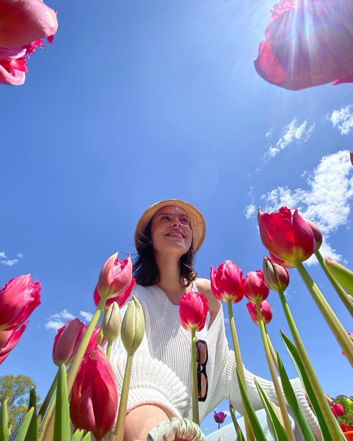 요즘 튤립 시즌🌷트렌디한 셀카법
튤립이 피어있는 곳에 핸드폰을 바닥에 놓고 광곽으로 찍어봐🤳🏻 이미지